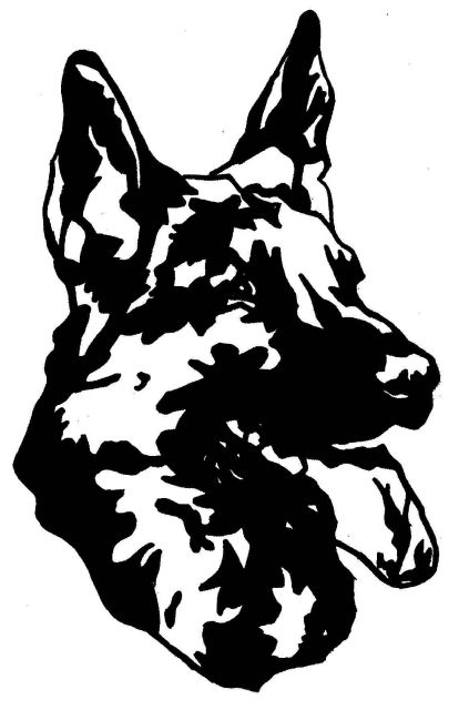 zpráva